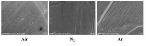 열처리 중 주입gas 분위기에 따른 SEM 분석. Heat treatment: 1400 ℃, materials: F-2, binder: lignin 10 %