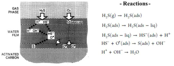 흡착제 표면상 H2O존재 시 H2S 제거 메커니즘