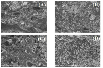 탄화슬러지 흡착제 탄화온도별 SEM 분석. 배율: 10,000 배 (A: 550 ℃ C.S, B: 700 ℃ C.S, C: 900 ℃ C.S, D: 1%K/900 ℃ C.S )