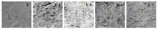 F소재의 첨가물 함량별(10,20,30,50,100) SEM 결과. (heat treatment: 1,400 ℃, gas: N2)