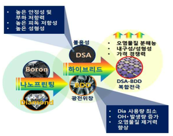DSA-BDD 복합전극 개념