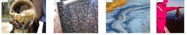 유분폐수에 의한 폐수처리장 막힘현상(a, b) 및 자연계 배출에 따른 생태계 파괴 (c,d)