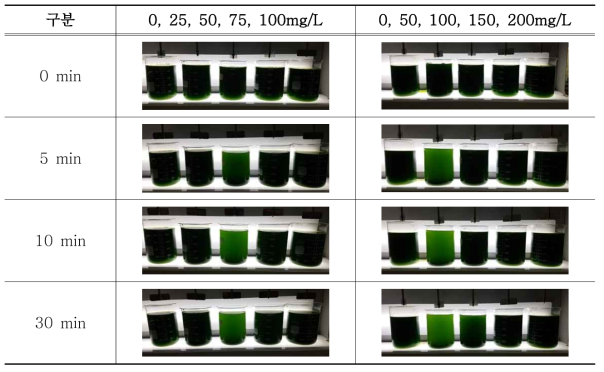 응집제 주입율별 시간에 따른 Jar-test(사진)