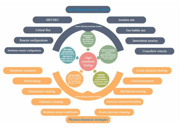 Factors affecting membrane fouling (the inner ring) and corresponded fouling mitigation strategies (the outer ring). Y. Liao et al. Bioresource Technology 264 (2018) 343–358