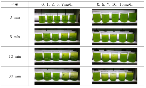 PAC 주입율별 시간에 따른 Jar-test(사진)