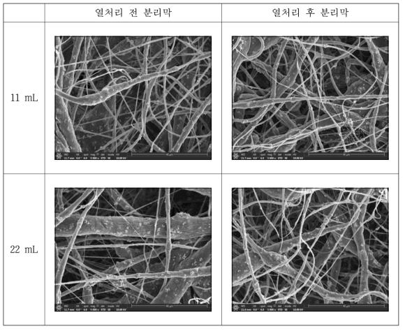 열처리 전, 후의 22 mL 방사 분리막의 SEM image