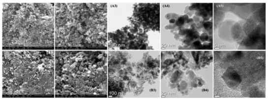 (A) M-Fe와 (B) M-Fe/Al-H의 SEM (1-2)과 TEM (3-5) 분석 결과