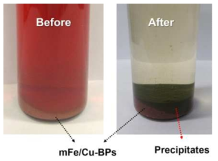 mFe/Cu-BPs를 이용한 AO7 색도제거 전 과 후 비교 사진