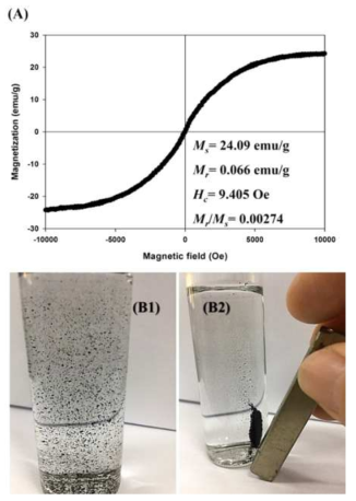 M-Fe/Al-H의 자기적 성질 분석 결과(A) 및 흡착공정(B1) vs. 자석 인자 3초 후(B2)