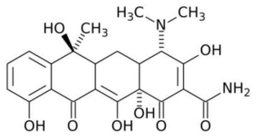 테트라사이클린의 화학적 구조