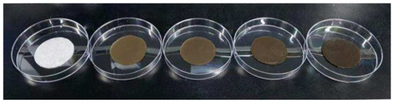 GO를 혼합한 PVDF 분리막(좌측부터 0, 0.5, 0.8, 1, 1.5 wt%)