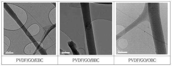 PVDF/GO/copolymer 분리막의 TEM 이미지