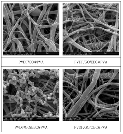 PVDF/GO/copolymer@PVA 분리막의 SEM 이미지