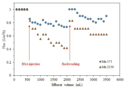 PVDF/GO/PE-b-PEG와 PVDF/GO/PE-b-PEG@PVA 분리막의 BSA fouling test