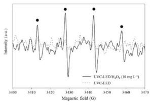 UVC-LED/H2O2반응 중 EPR spectra