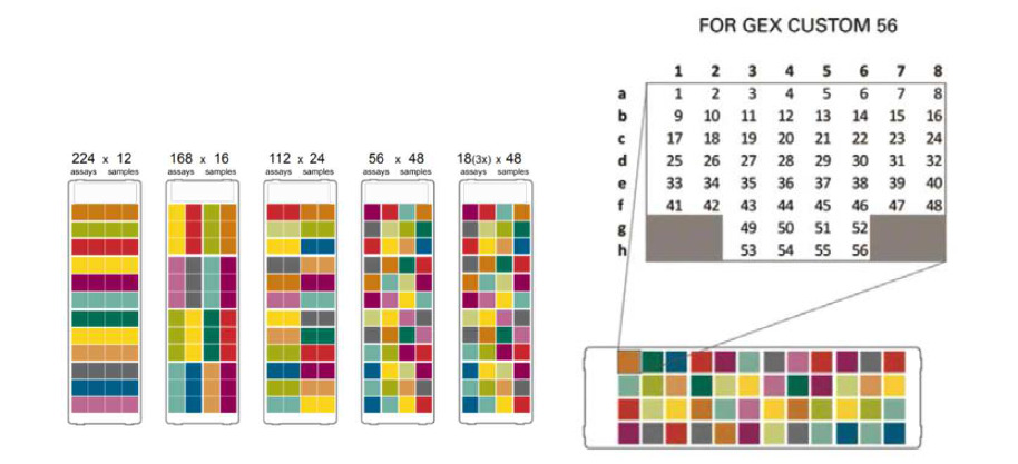 OpenArrayⓇ 5가지 플랫폼 중 56 assays × 48 samples 플랫폼의 구성. 1개의 카드는 48개의 subarrays로 구성되며, 1개의 subarray는 56개의 assay로 구성되어 있음. 1개의 subarray에 1개의 시료를 적용하여 56개의 assay를 동시 검사할 수 있음