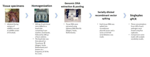조직 유전물질의 기법 진단성능 영향 평가를 위한 시험 절차