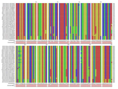 일본 뇌염 바이러스 NS1 유전자 alignment