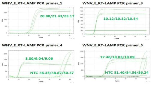 웨스트나일바이러스 등온증폭 프라이머의 RT LAMP-PCR 특이도 평가