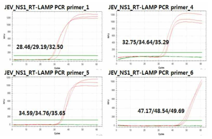 일본뇌염 바이러스 등온증폭 프라이머의 RT LAMP-PCR 특이도 평가