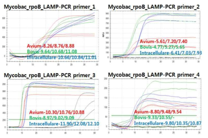 결핵 등온증폭 프라이머의 RT LAMP-PCR 특이도 평가