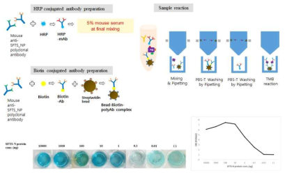 SFTS 바이러스 검출 전략 모식도(위) 및 재조합 단백질을 이용한 검출한계 분석(아래)