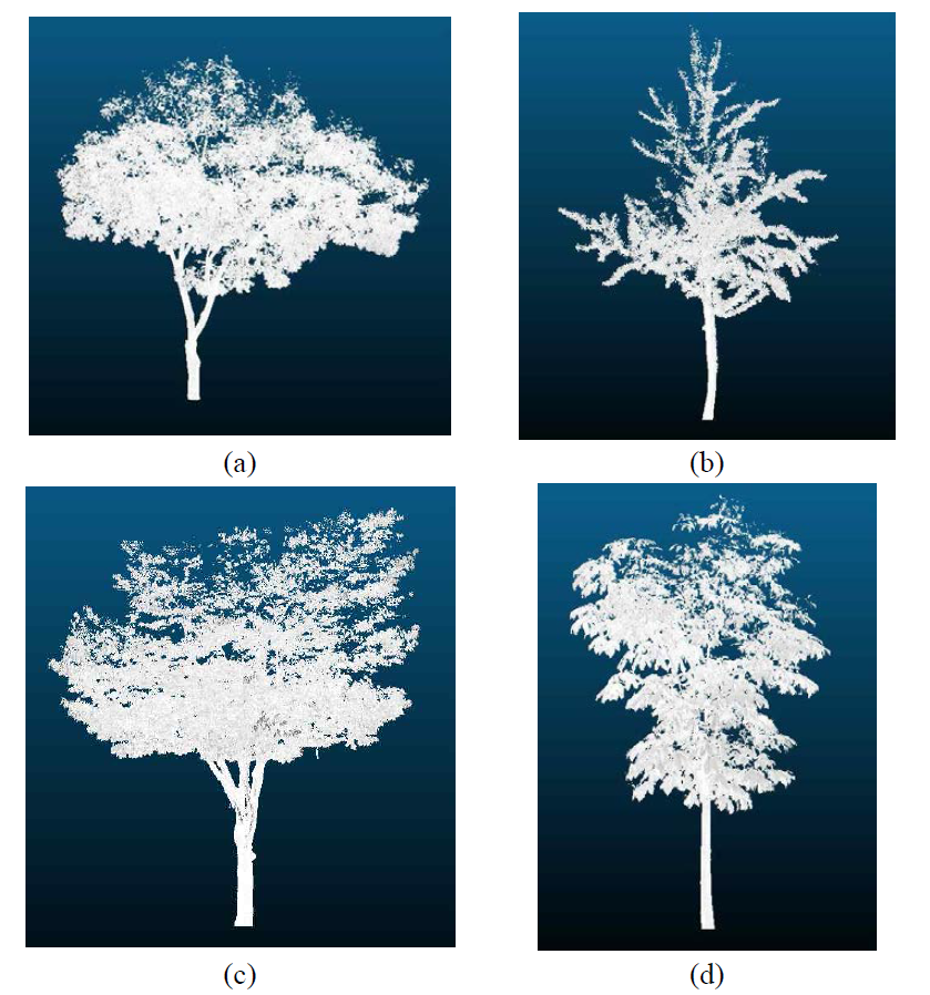 각 수목별 점군데이터 ((a) 회화나무, (b) 은행나무, (c) 느티나무, (d) 칠엽수)