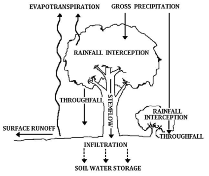 녹지에 의한 물순환 개념도 (Inkiläinen et al., 2013)