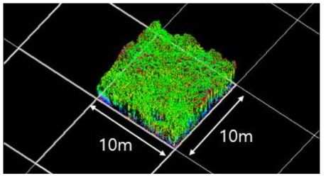 10m × 10m 그리드에서의 항공 LiDAR 데이터를 활용한 부피 및 복잡성 계산 예시