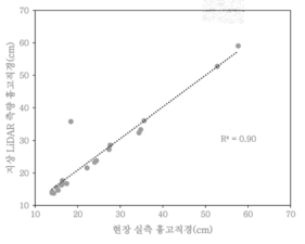 현장실측과 지상 LiDAR 측량에 따른 흉고직경 상관성 분석 결과(벚나무)