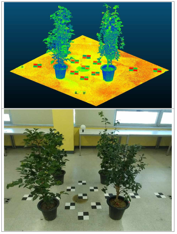 실내 수목을 대상으로 한 라이다 측정 데이터(위), 실내 수목 측정 대상지 사진(아래)