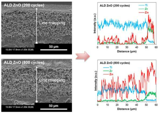 ALD ZnO cycle에 따른 세라믹 멤브레인 미세구조 단면 SEM 이미지 및 EDX를 이용한 line mapping 결과 그래프