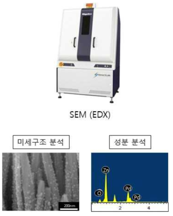 SEM/EDX를 통한 미세구조 및 성분 분석