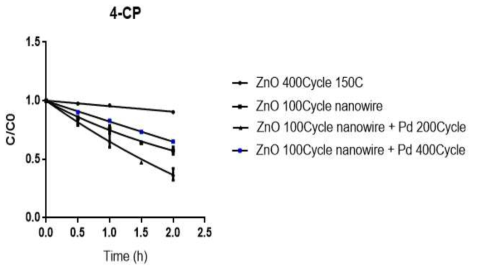 ZnO 박막, ZnO nanowire, ZnO nanowire+Pd 200Cycle 도포시편, ZnO nanowire+Pd 400Cycle 도포 시편의 4-CP 분해능 비교