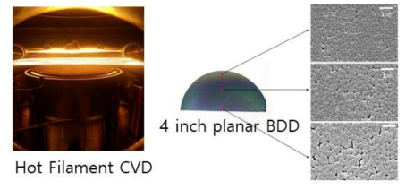 4인치 전극제작이 가능한 HF-CVD 및 제작된 전극의 표면 SEM
