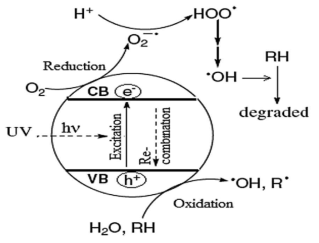 이산화 티타늄(TiO2) 나노입자에서의 유기물 산화 메커니즘