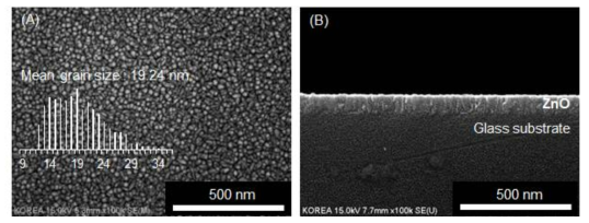 원자층 증착법(ALD) 제작 산화아연(ZnO) 박막의 (A) 표면 이미지 및 (B) 단면 이미지