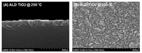 250 ℃ 증착 이산화타이타늄(TiO2) 박막의 (A) 단면 및 (B) 표면 주사전자현미경(SEM) 관찰 이미지
