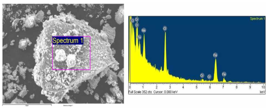 철 전극을 이용한 전기 응집 이후 발생한 슬러지의 SEM 이미지와 EXD 결과