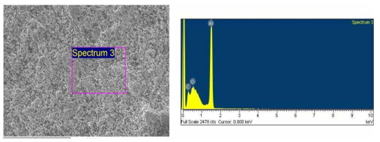 전기응집 반응 이후 사용한 알루미늄 양극의 SEM 이미지와 EXD 결과