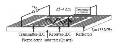 Surface Acoustic Wave sensor)와 IDT(Inter Digital Transducer(SAW)