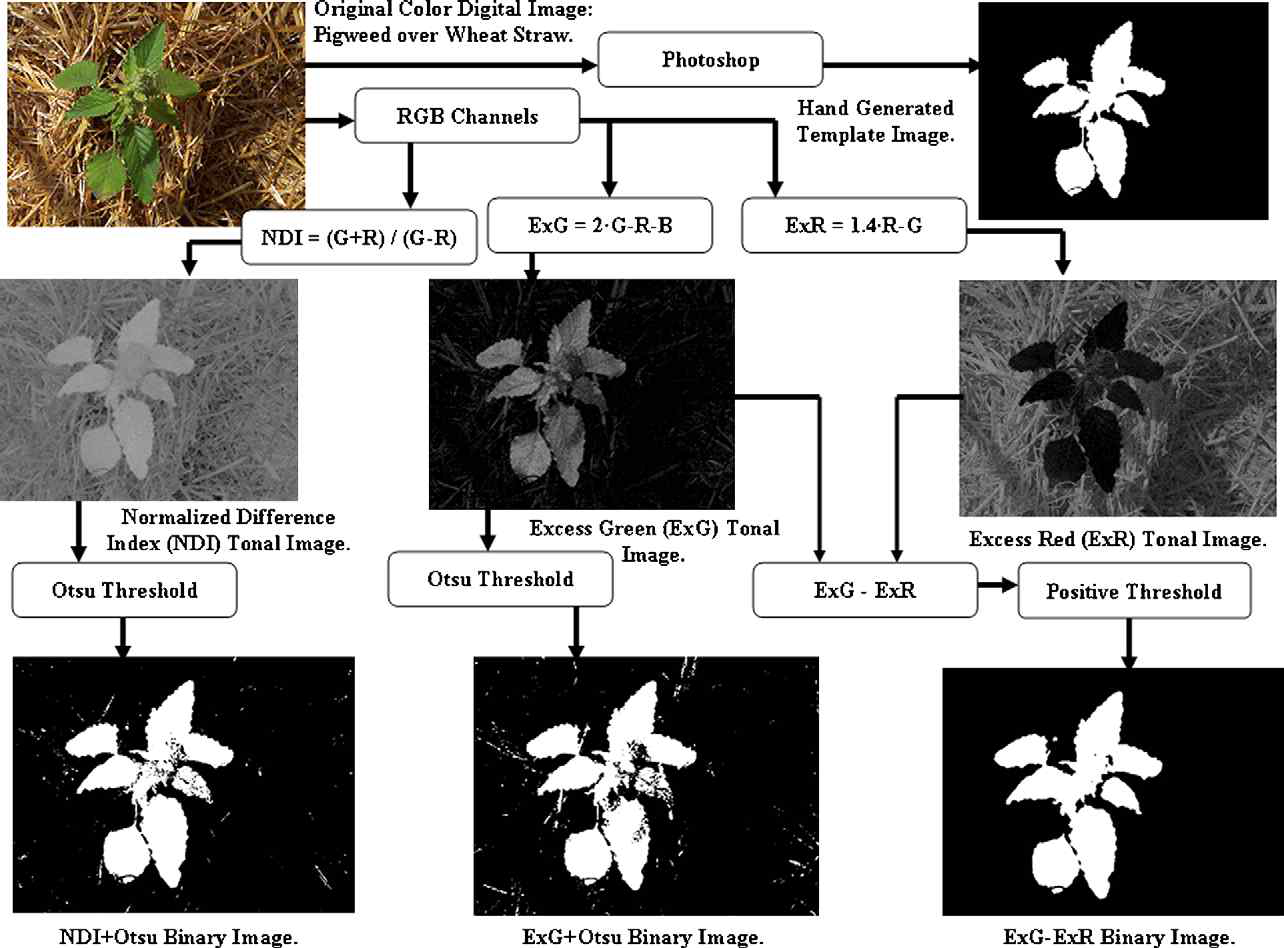 다양한 VI(Vegetation index) 비교* *출처: Meyer and Neto, 2008