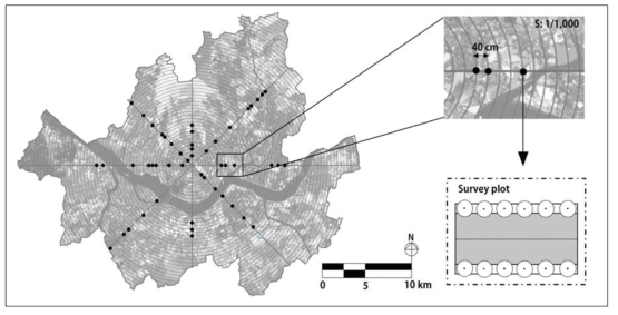 도시림 조사지점의 체계적 표본추출법 모식도