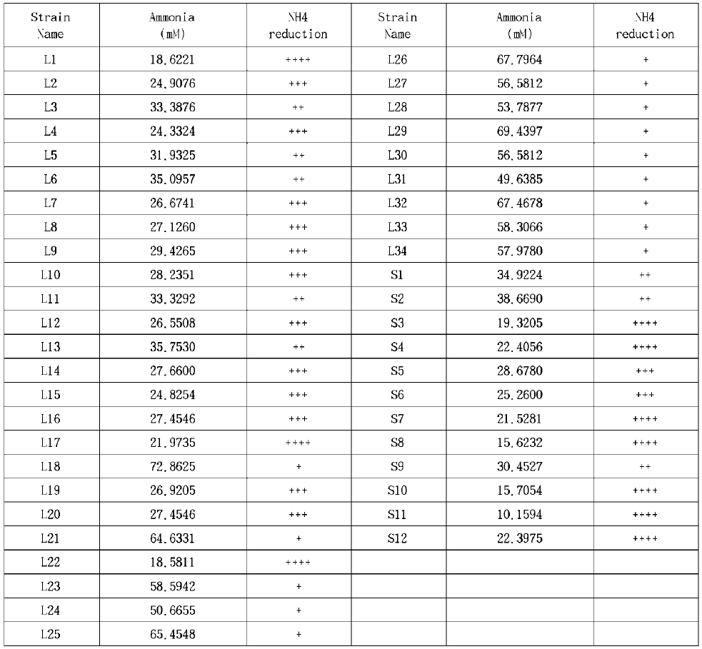 우수한 암모니아 제거능을 가지는 Lactobacillus 및 Streptococcus 균주들