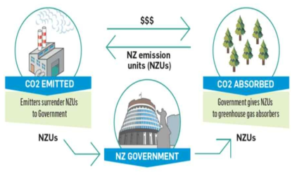 뉴질랜드의 배출권거래제 개요 도식 (출처: https://www.mfe.govt.nz/climate-change/new-zealand-emissions-trading-scheme/about-nz-ets)