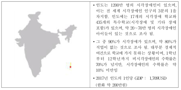 인도 시각장애 시장 현황