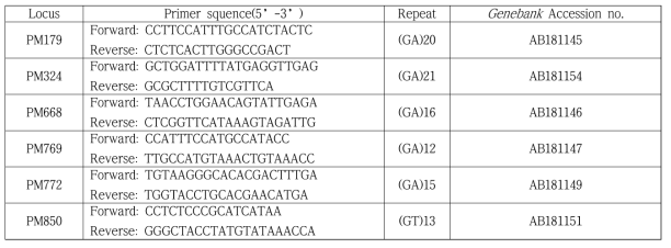 PCR에 사용된 micro-satellite 마커의 서열과 반복 단위