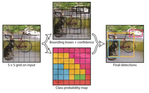 YOLO Prediction Model(출처 : darknet 홈페이지)