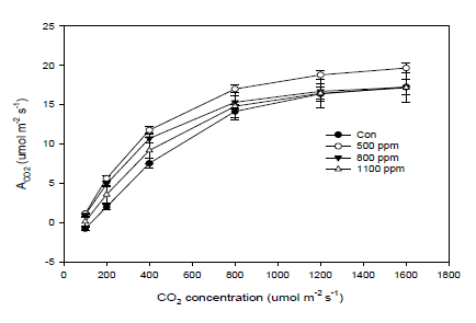 CO2 농도에 따른 애호박 광합성 능력