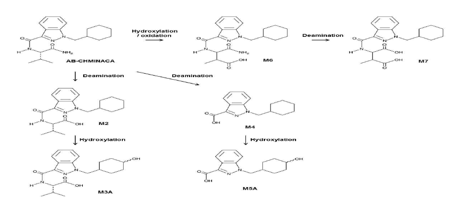 AB-CHMINACA와 그 대사체 6종의 분자 구조